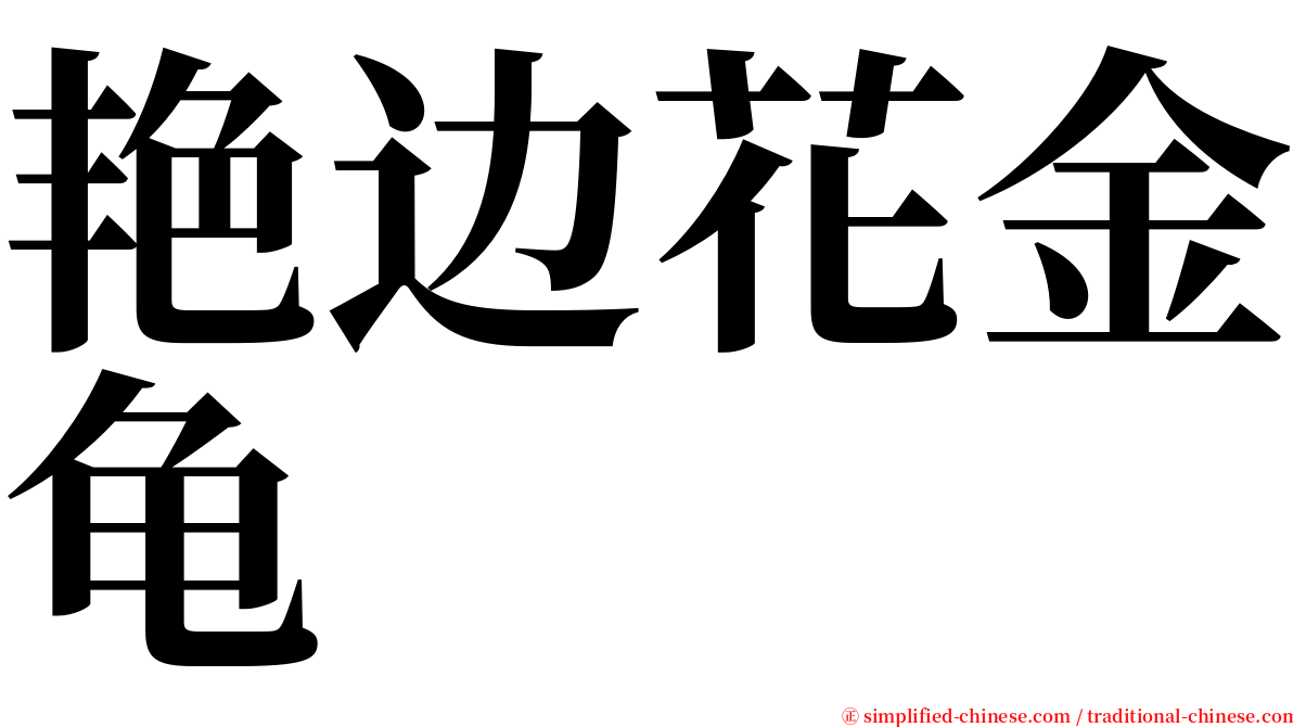 艳边花金龟 serif font