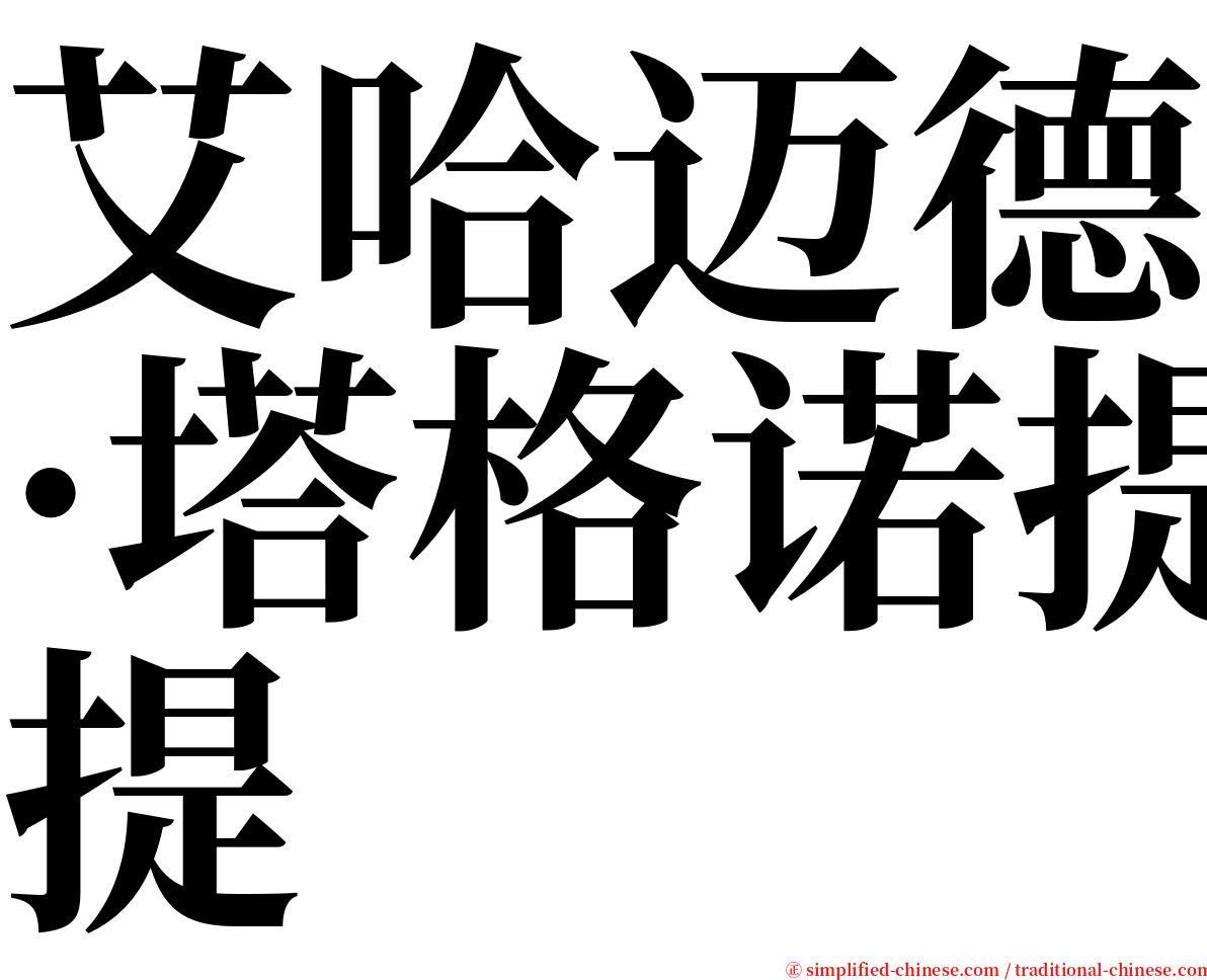 艾哈迈德·塔格诺提 serif font