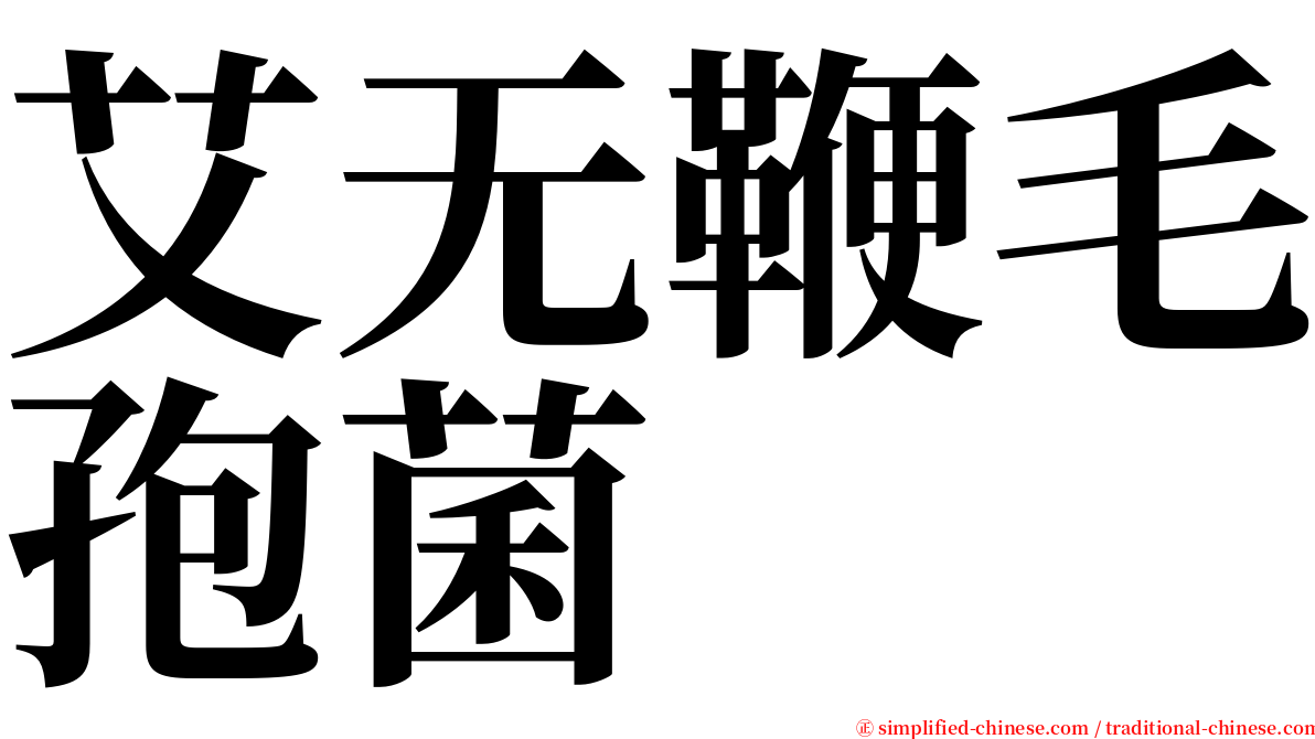 艾无鞭毛孢菌 serif font