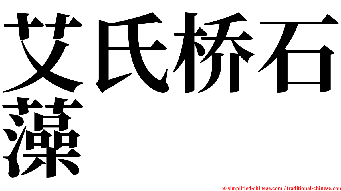 艾氏桥石藻 serif font