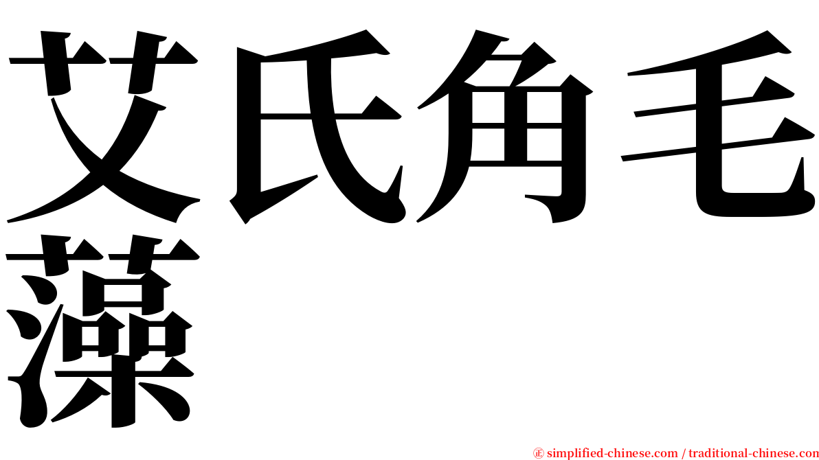 艾氏角毛藻 serif font