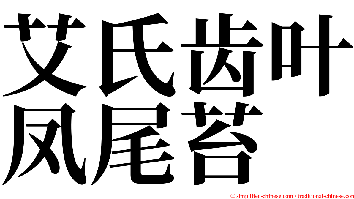 艾氏齿叶凤尾苔 serif font