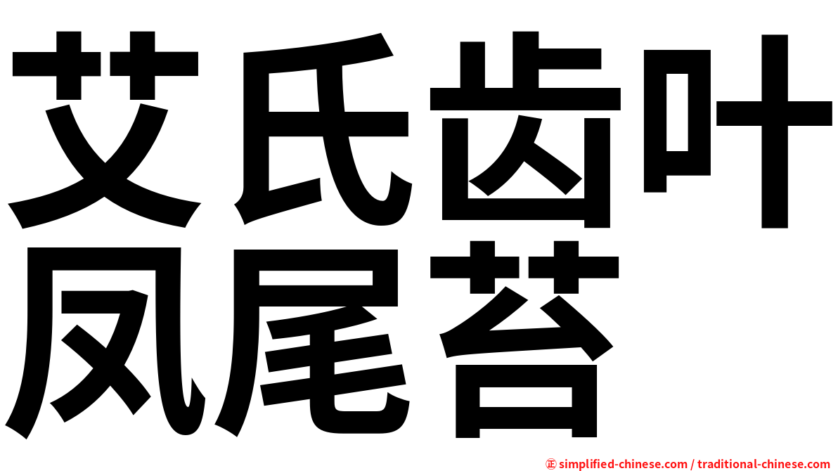 艾氏齿叶凤尾苔