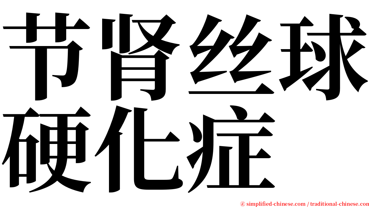 节肾丝球硬化症 serif font