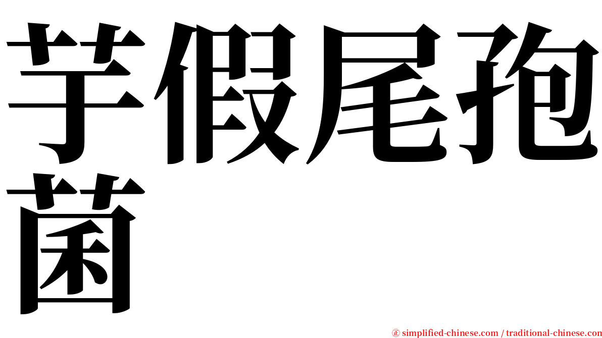 芋假尾孢菌 serif font