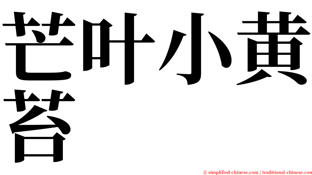 芒叶小黄苔 serif font