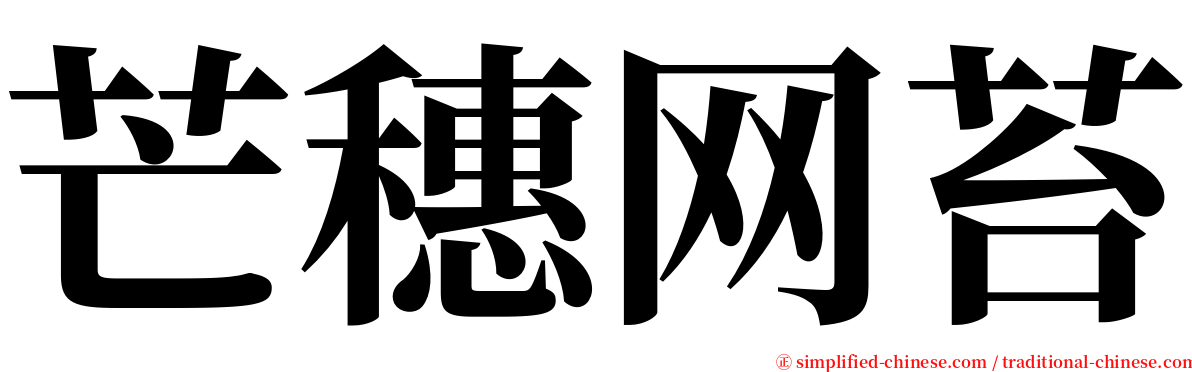 芒穗网苔 serif font