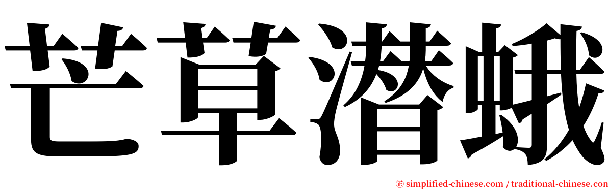 芒草潜蛾 serif font