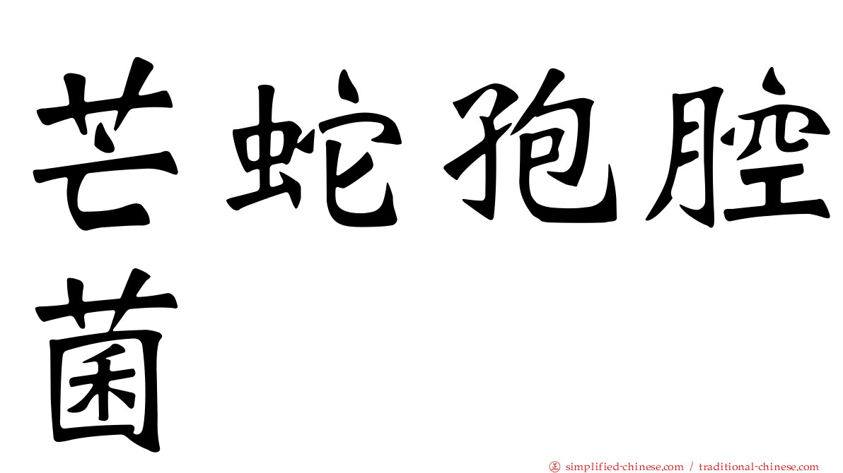芒蛇孢腔菌