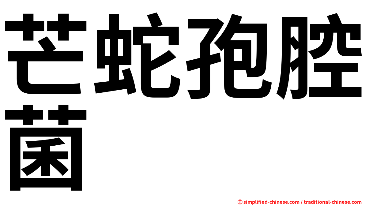 芒蛇孢腔菌