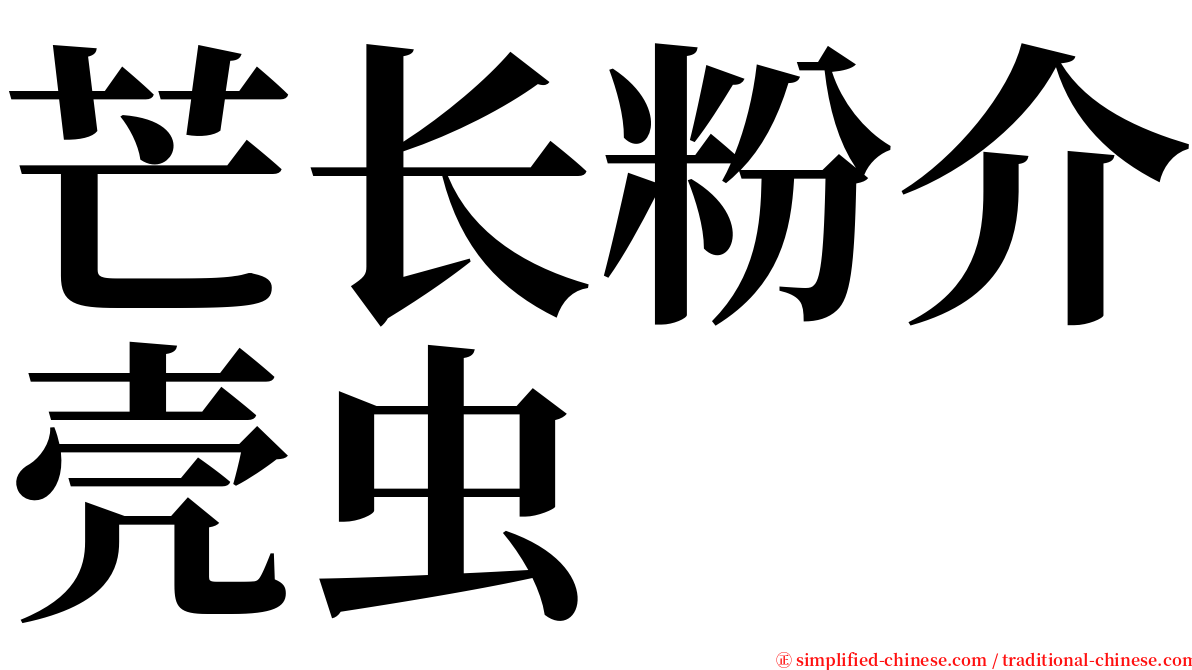 芒长粉介壳虫 serif font