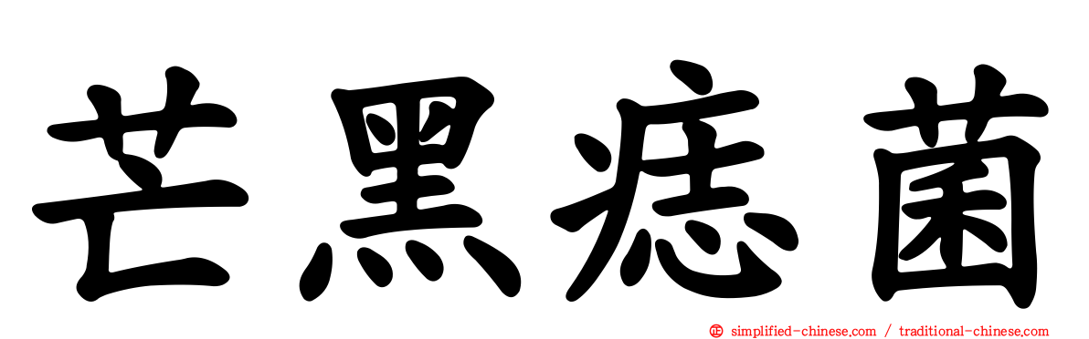 芒黑痣菌