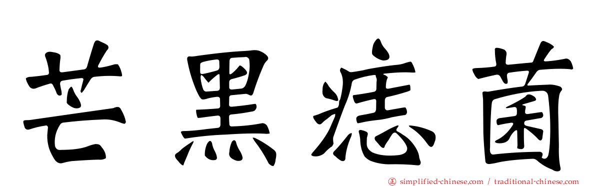 芒黑痣菌