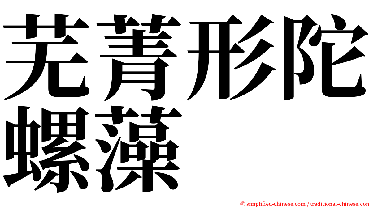 芜菁形陀螺藻 serif font