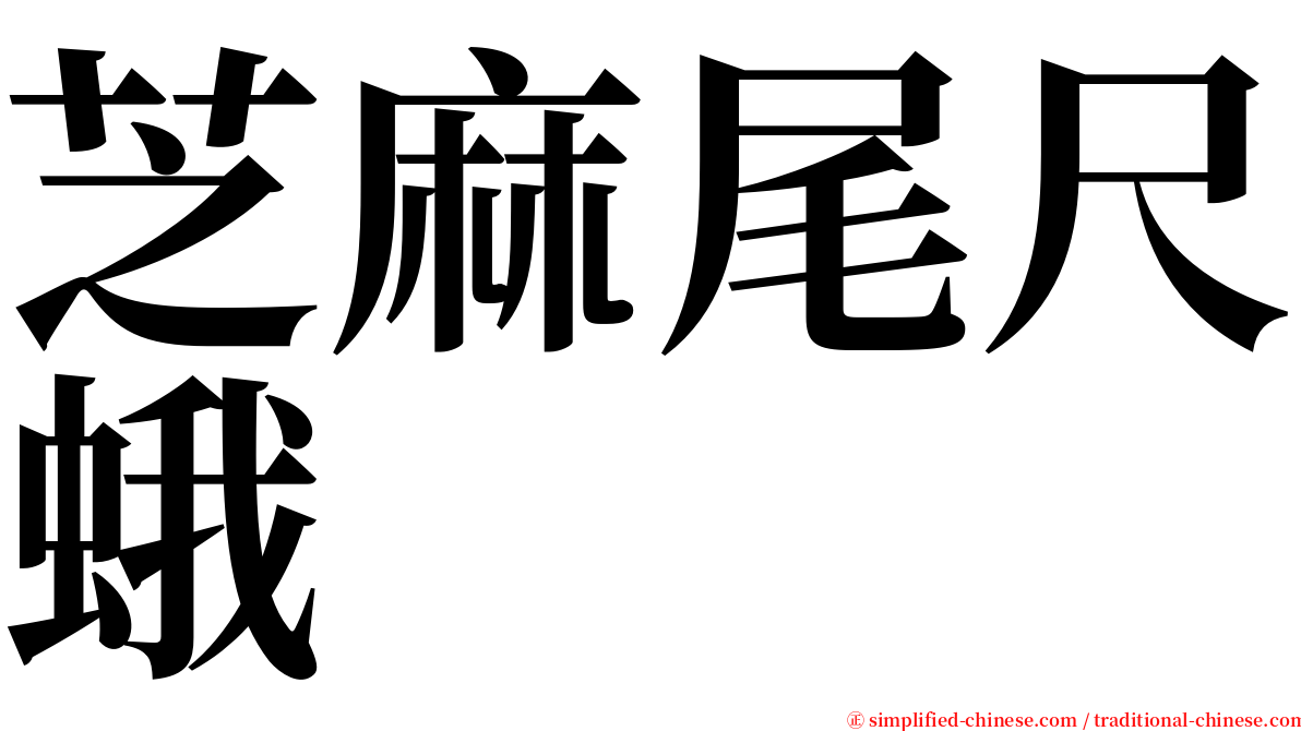 芝麻尾尺蛾 serif font