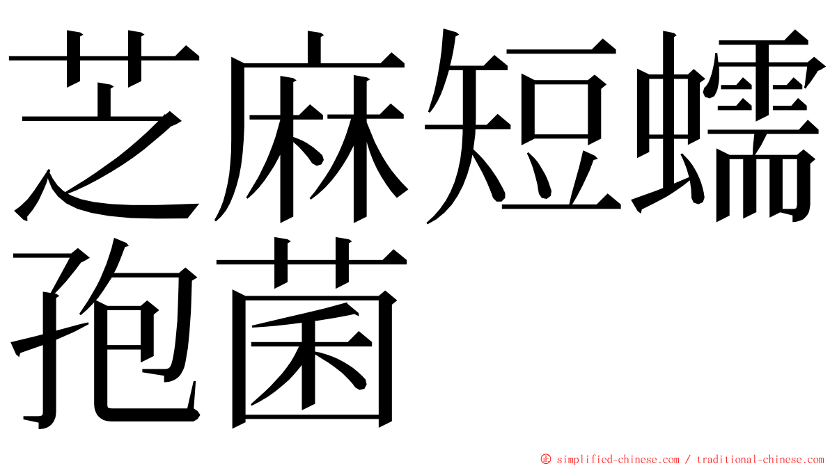 芝麻短蠕孢菌 ming font