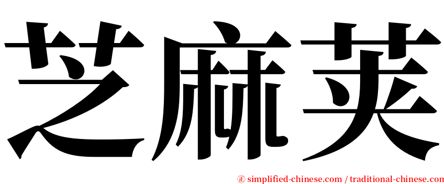 芝麻荚 serif font