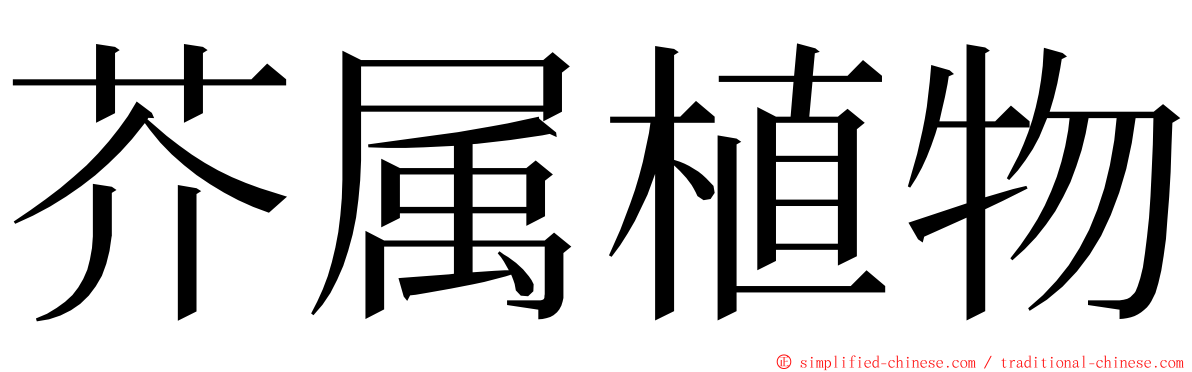 芥属植物 ming font