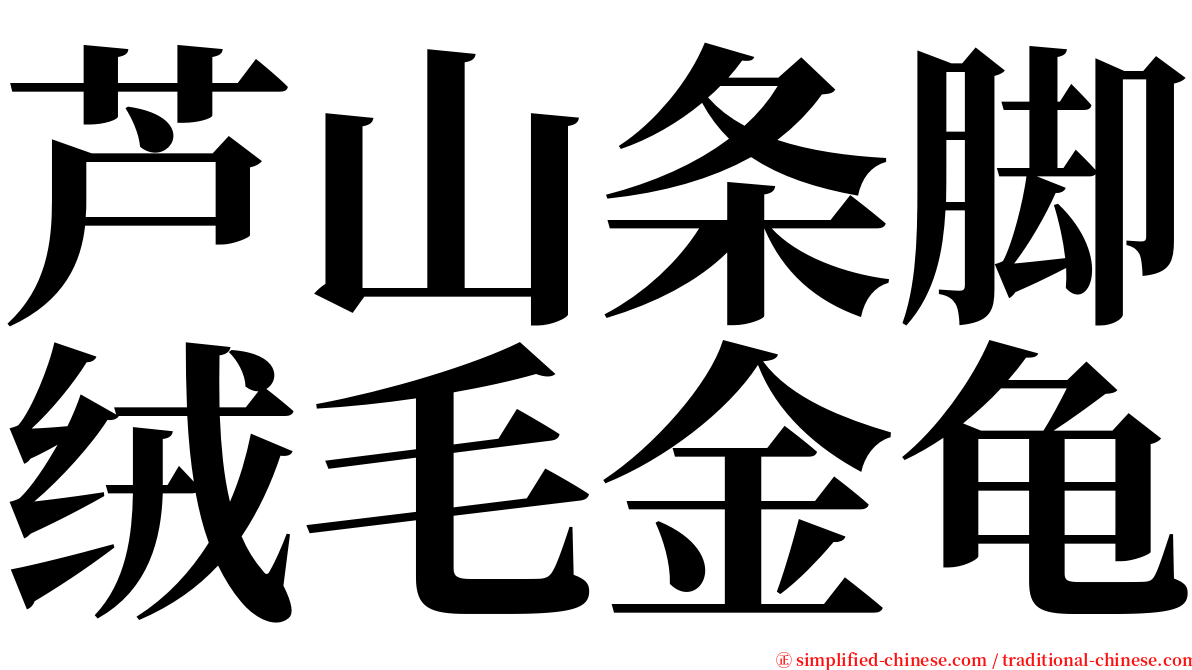 芦山条脚绒毛金龟 serif font