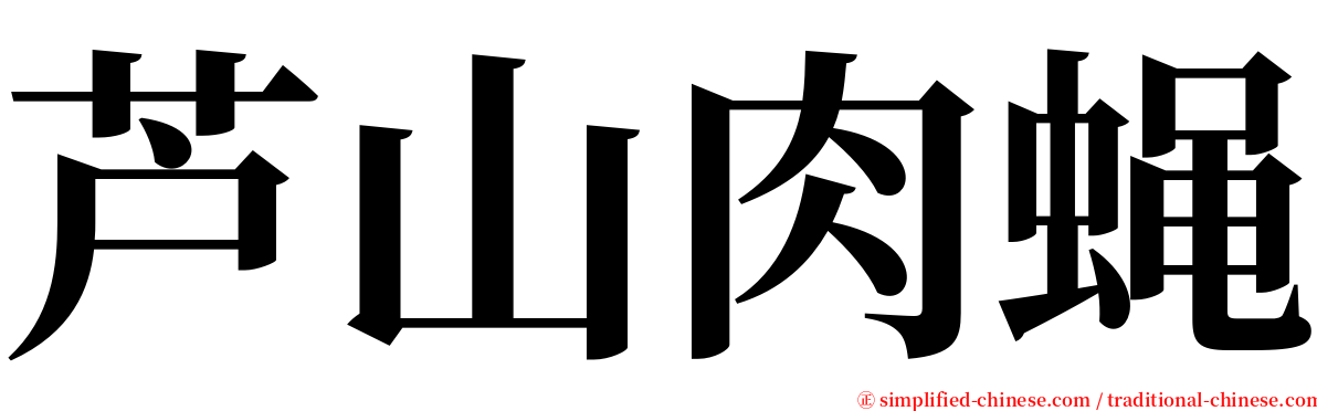芦山肉蝇 serif font