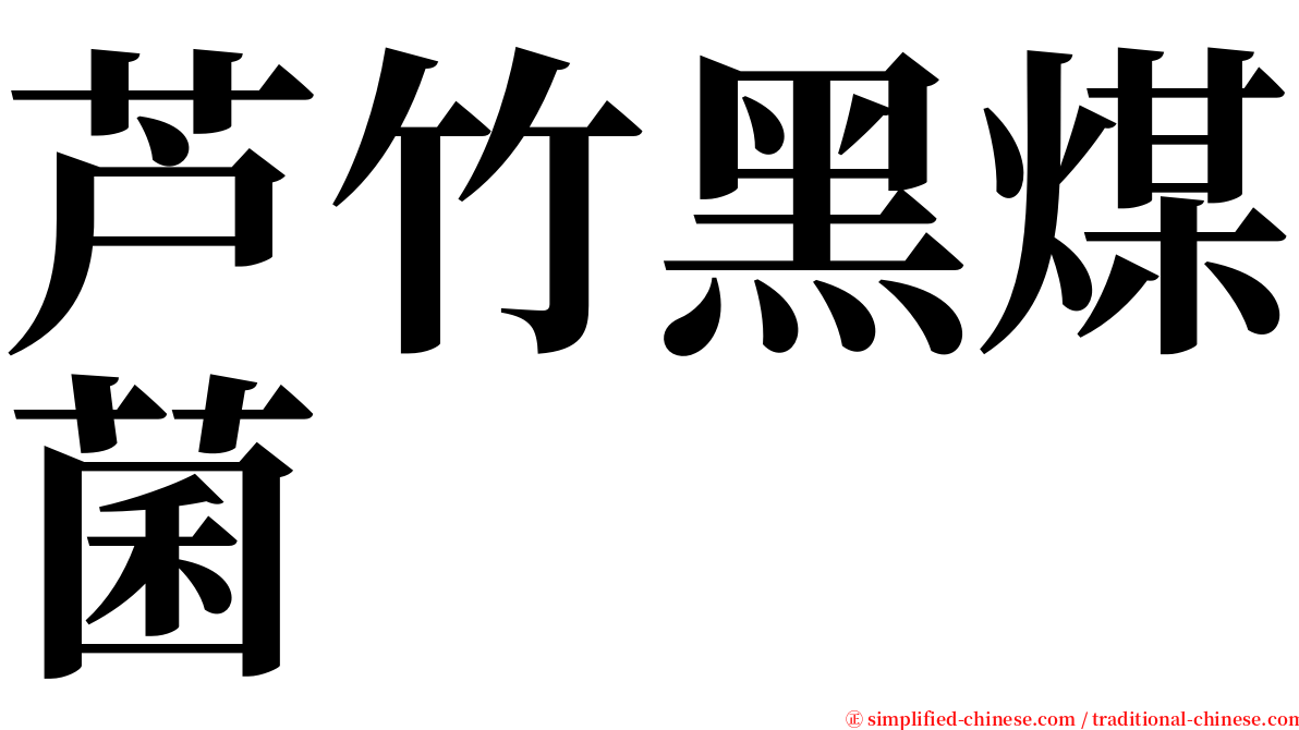 芦竹黑煤菌 serif font