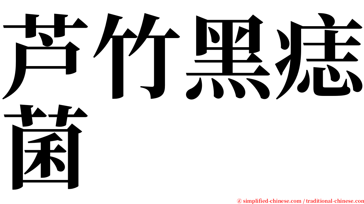 芦竹黑痣菌 serif font