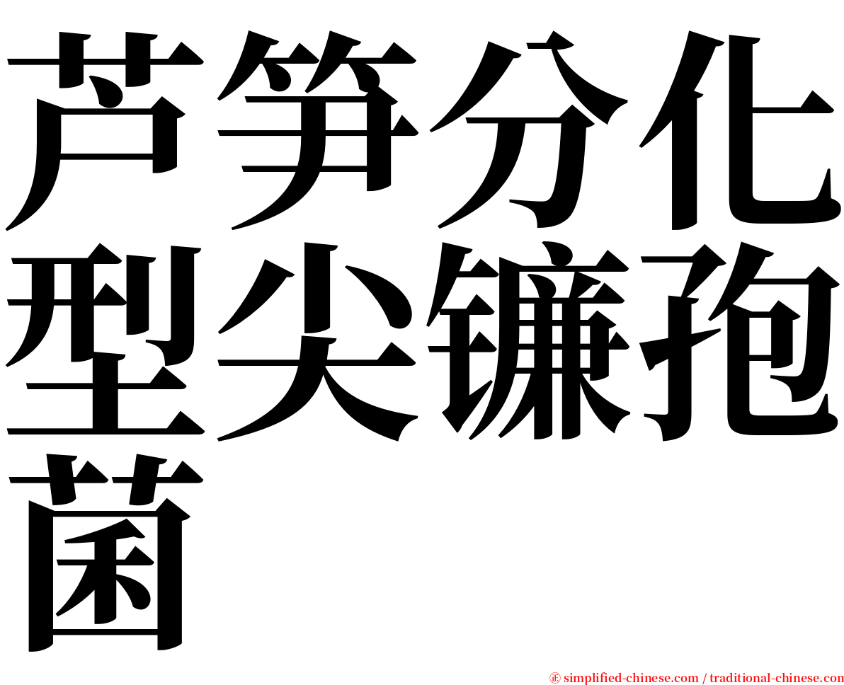 芦笋分化型尖镰孢菌 serif font