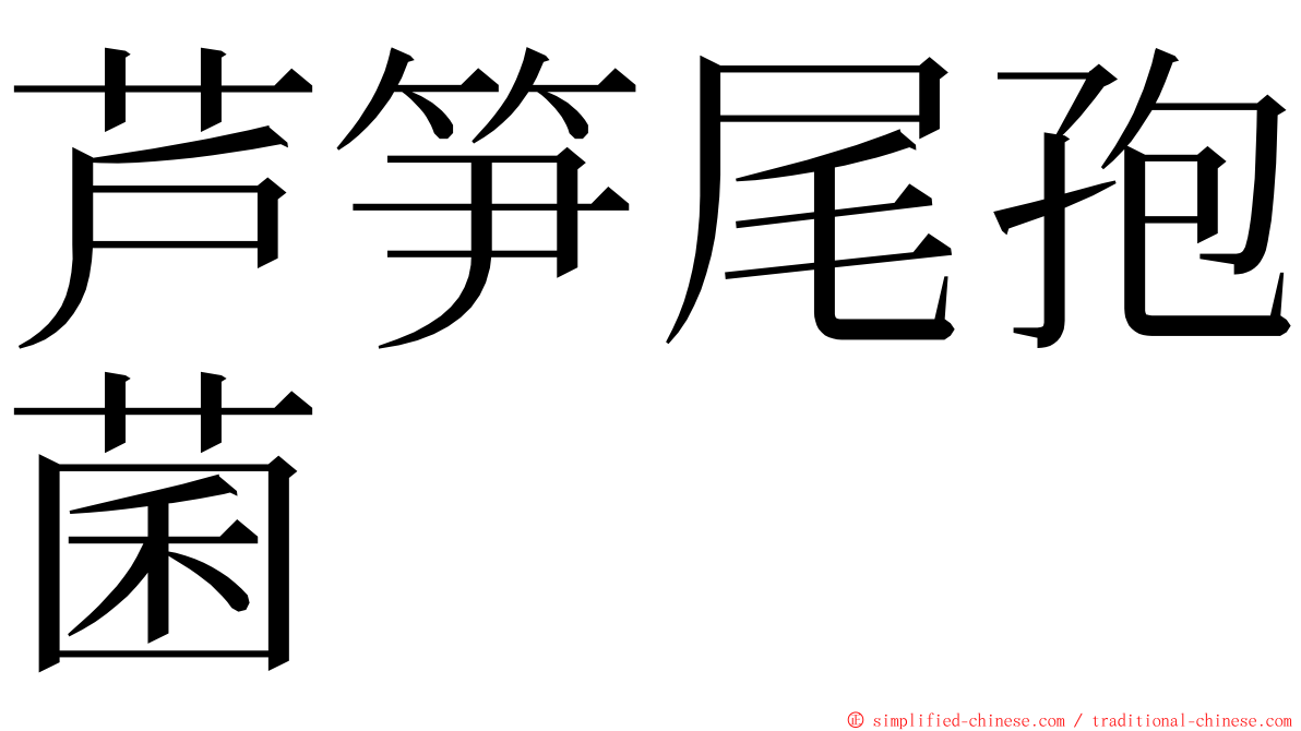 芦笋尾孢菌 ming font