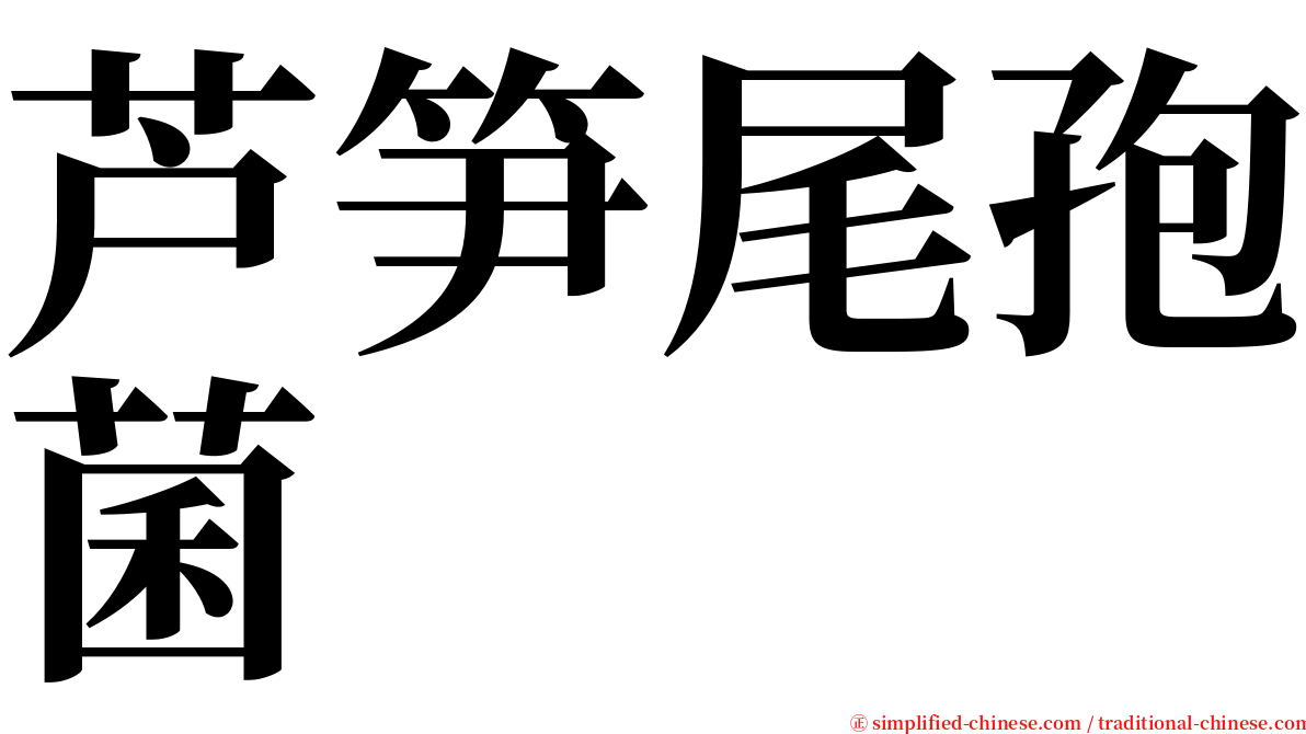 芦笋尾孢菌 serif font