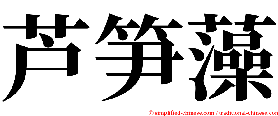 芦笋藻 serif font