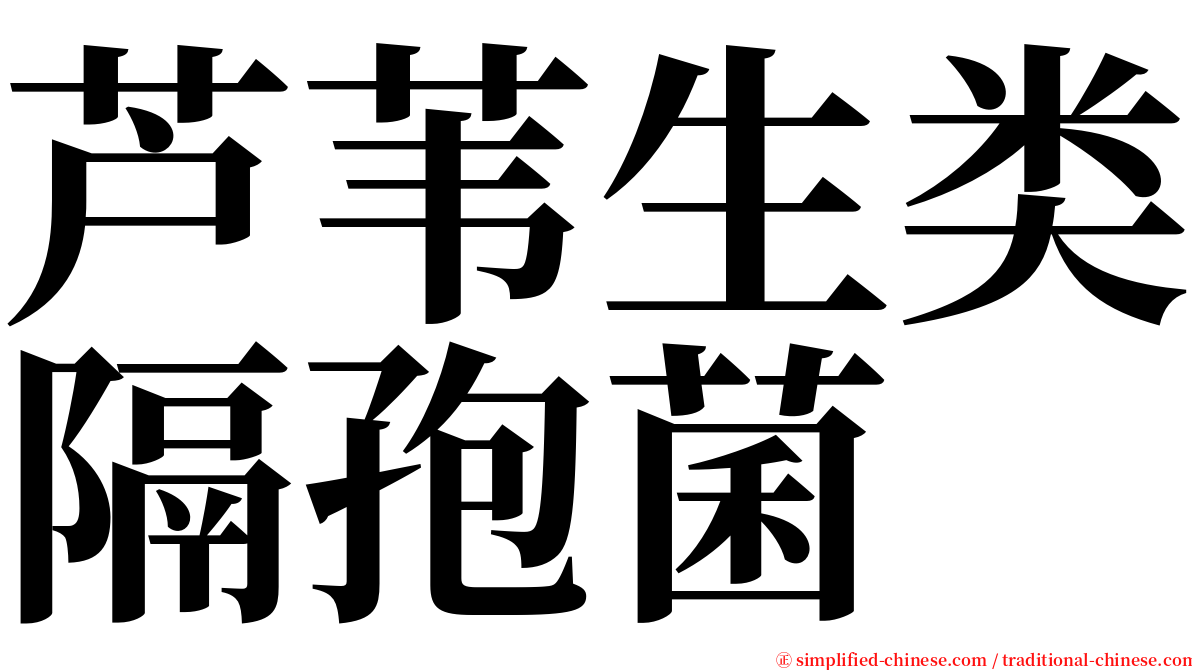 芦苇生类隔孢菌 serif font