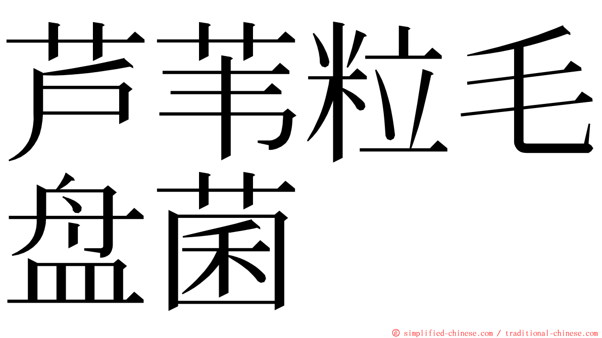 芦苇粒毛盘菌 ming font