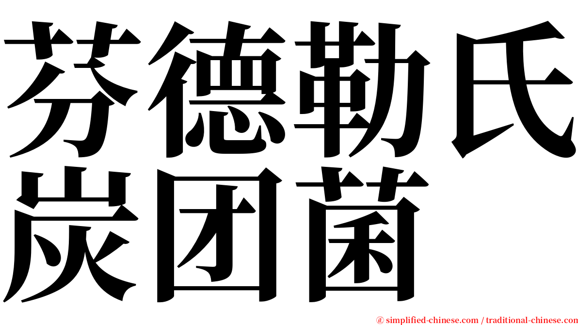 芬德勒氏炭团菌 serif font