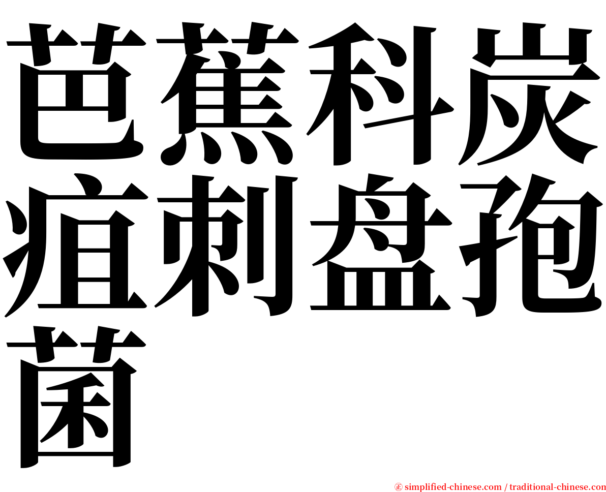 芭蕉科炭疽刺盘孢菌 serif font