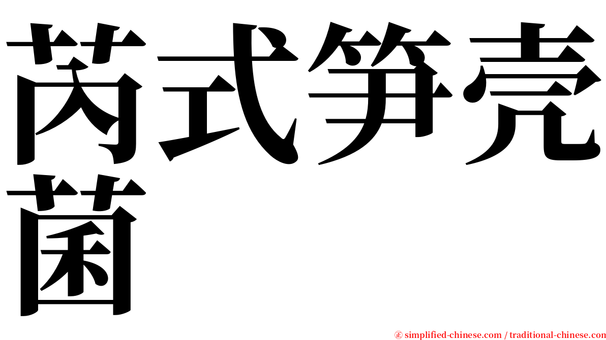 芮式笋壳菌 serif font