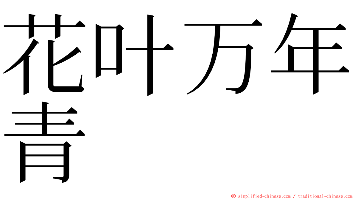 花叶万年青 ming font