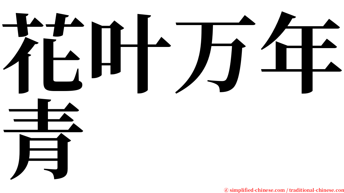 花叶万年青 serif font