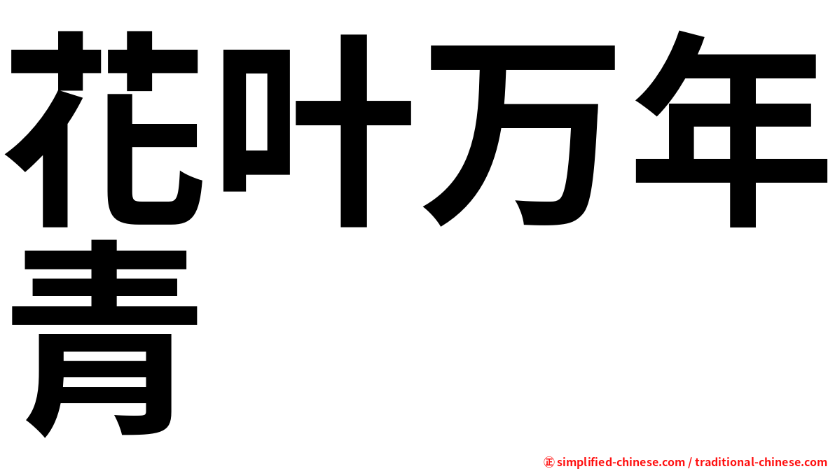 花叶万年青