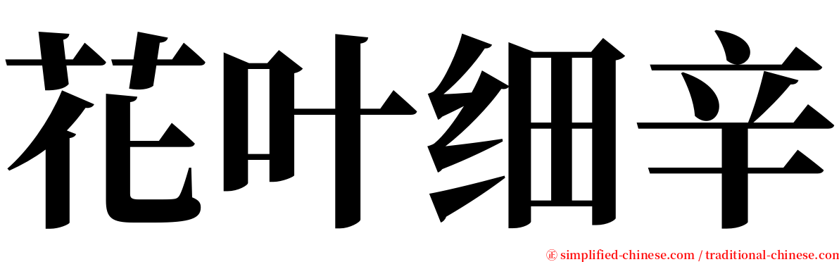 花叶细辛 serif font