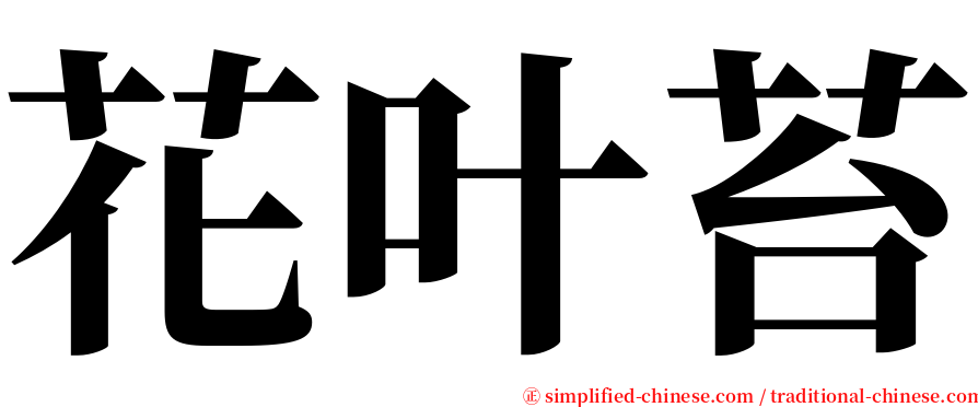 花叶苔 serif font