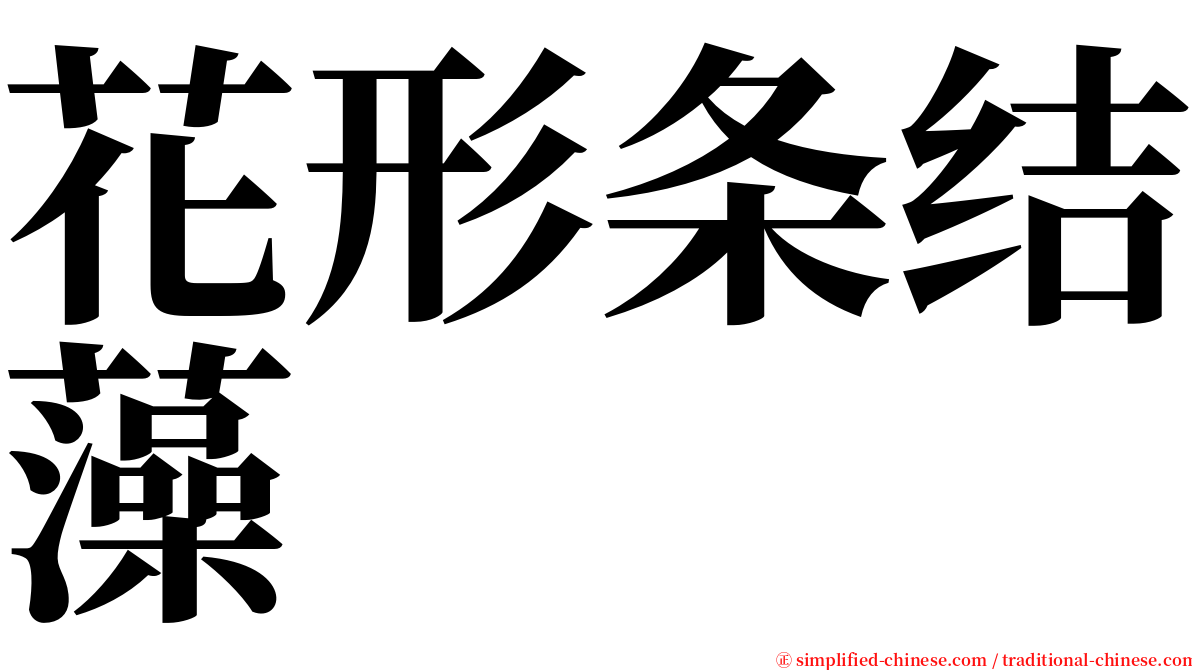 花形条结藻 serif font