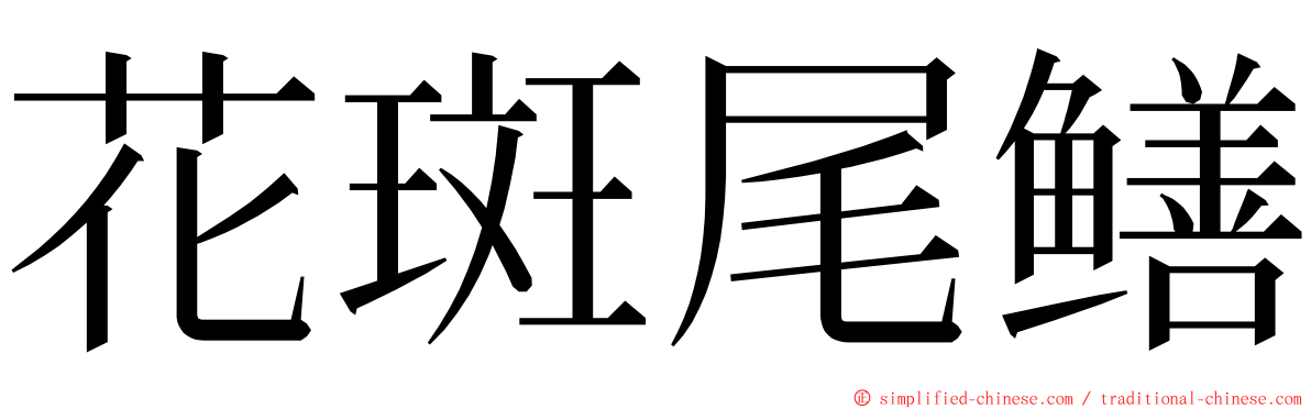 花斑尾鳝 ming font