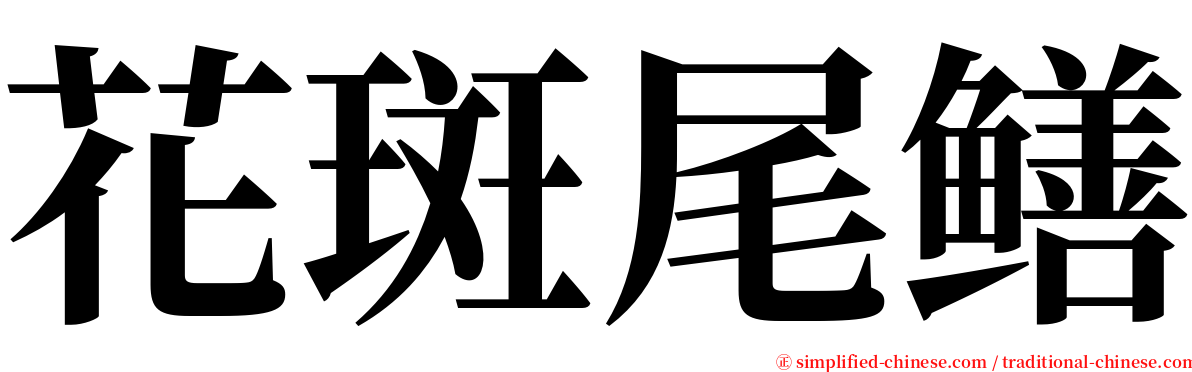 花斑尾鳝 serif font