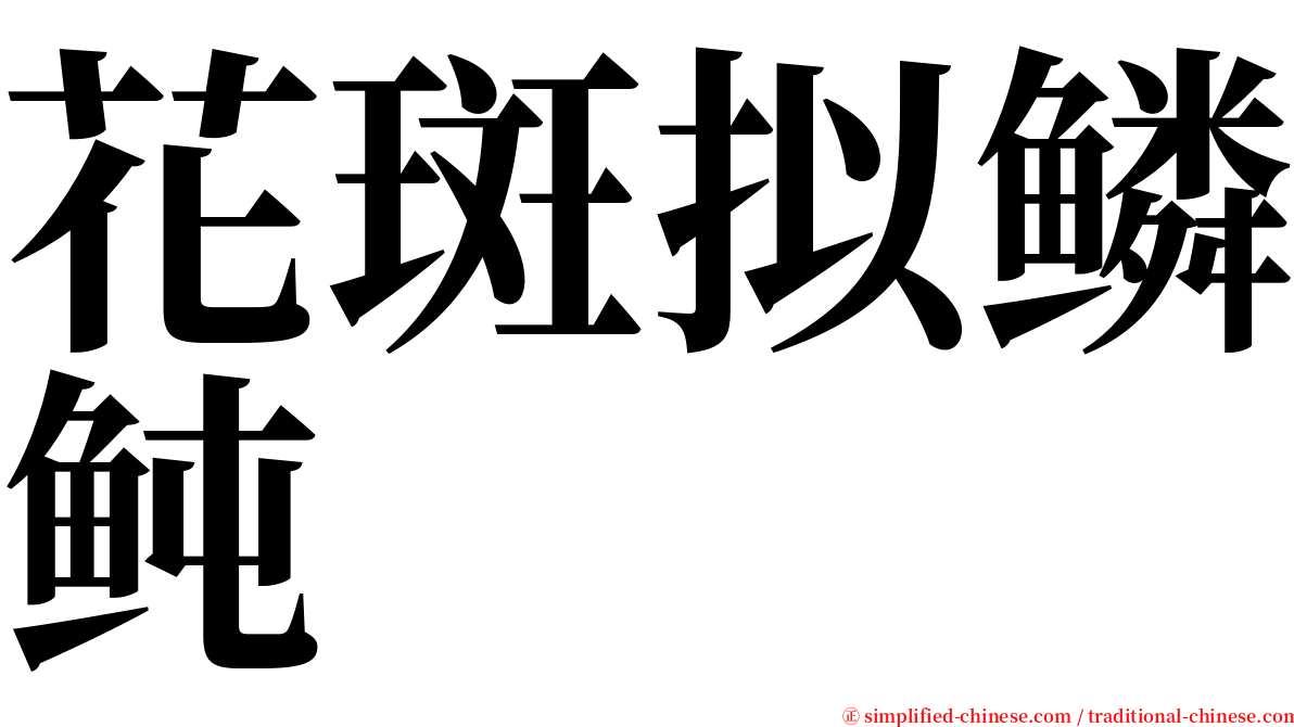 花斑拟鳞鲀 serif font