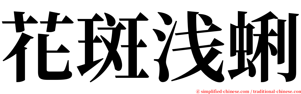 花斑浅蜊 serif font