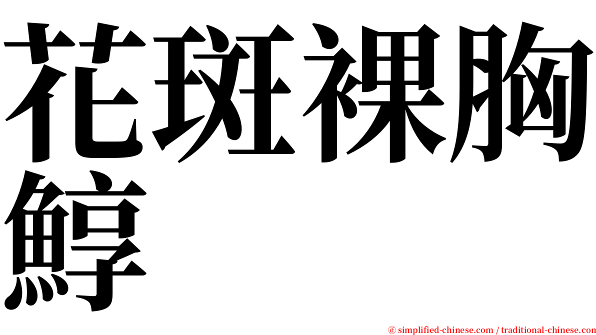 花斑裸胸鯙 serif font