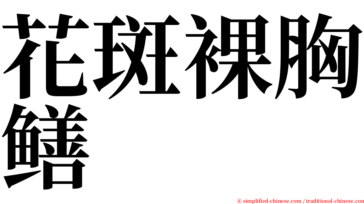 花斑裸胸鳝 serif font