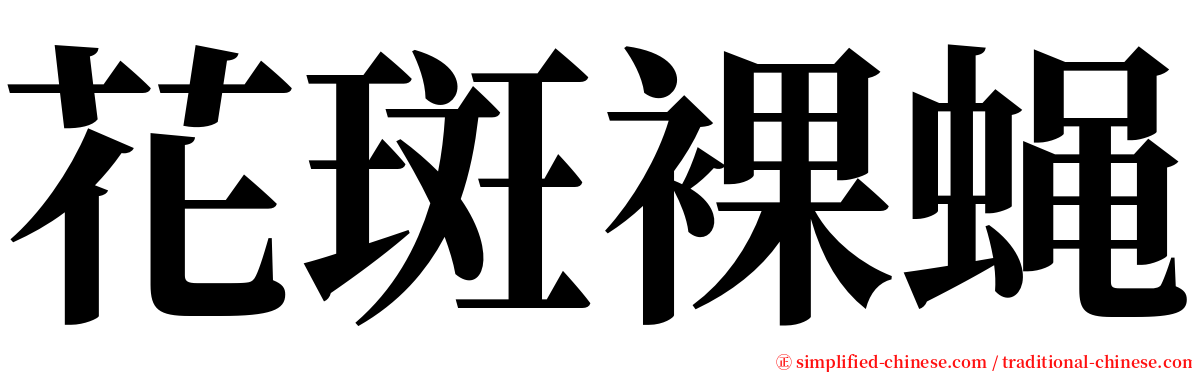 花斑裸蝇 serif font