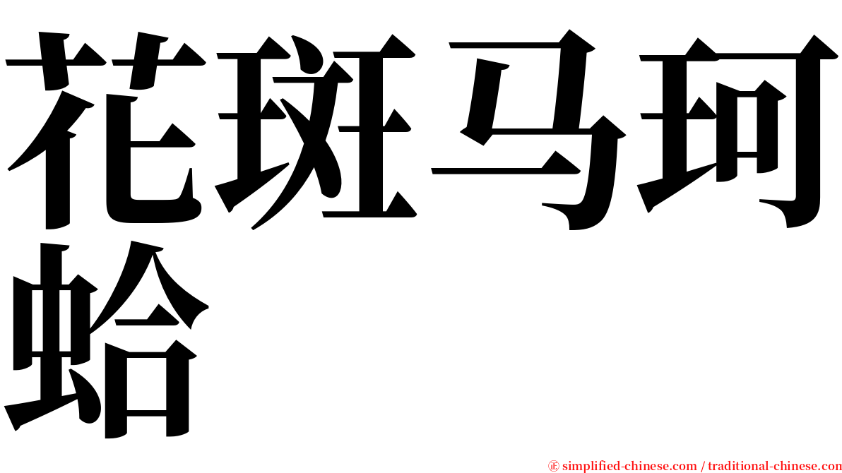 花斑马珂蛤 serif font