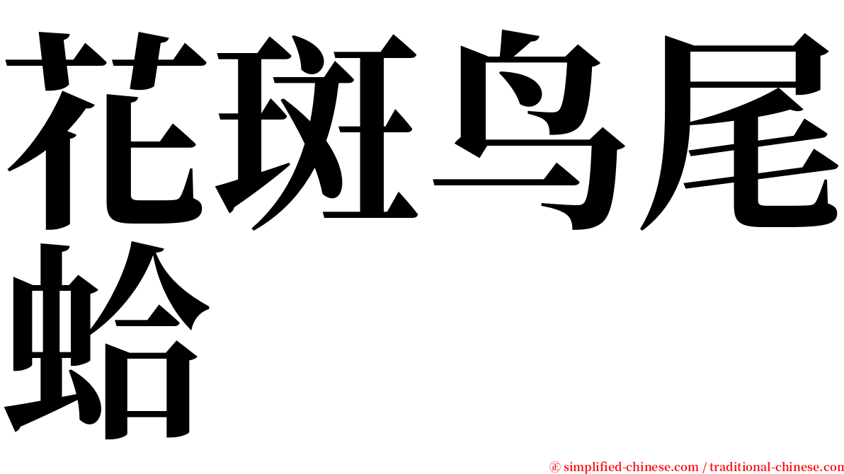 花斑鸟尾蛤 serif font